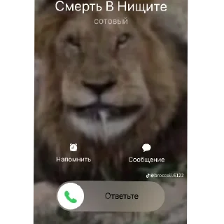 Video sticker 👍 Мемчик