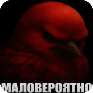 Telegram stiker 🐦 птички @ptichki148