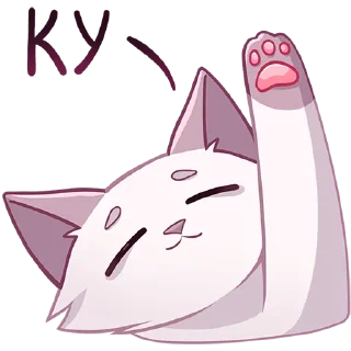Video sticker 🙋 КатШи; больше стикеров:@wkwkwal