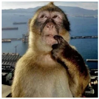 Video sticker 🤔 .