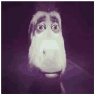 Video sticker 😶 .