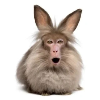 Telegram sticker 🍔 .