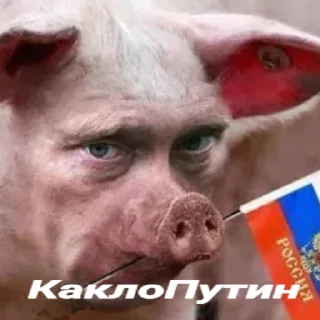Telegram sticker 🦽 Набор руських Кацапинов