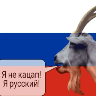 Video sticker 🐐 Набор руських Кацапинов