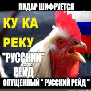 Telegram sticker 🐓 Набор руських Кацапинов