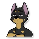 Video sticker 😒 Kas Dobe 2