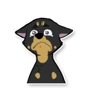 Telegram stiker 😭 Kas Dobe 2