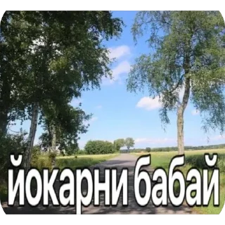 Telegram sticker 🫥 Предложения по стикерам - @B1kSi1337