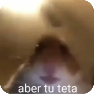 Video sticker 😏 ~twink love~ para geis 🦔🔥