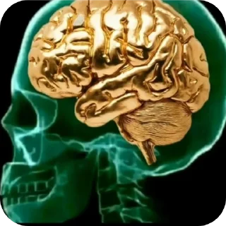 Телеграм стикер 🤩 𝙎𝙒𝘼𝙂 @trueperson12