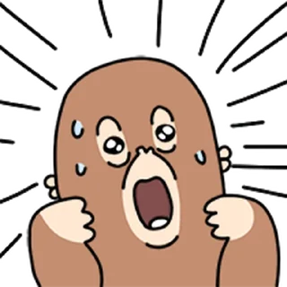 Video sticker ⭐ 오구오구 오란이 @moe_sticker_bot