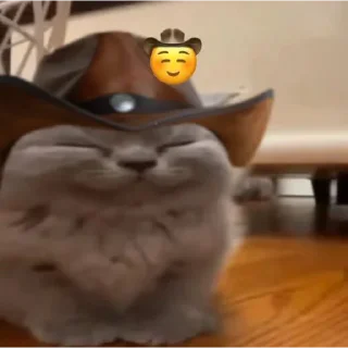 Video sticker 🌾 Kh