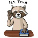 Telegram sticker 👆 Criminal Raccoon