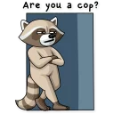 Video sticker 😑 Criminal Raccoon