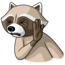 Video sticker ✋ Criminal Raccoon