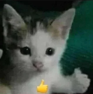 Sticker 👍 кити кэт× :: @fStikBot