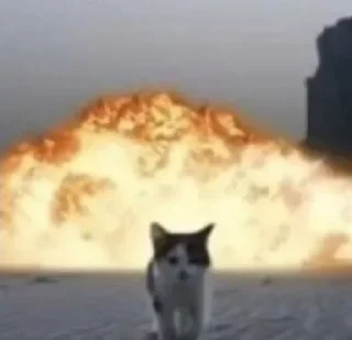 Telegram sticker 💥 кити кэт× :: @fStikBot