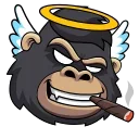 Telegram sticker 😇 DegenStocks