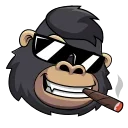 Telegram sticker 😎 DegenStocks