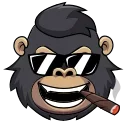 Telegram sticker 😎 DegenStocks