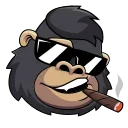 Telegram sticker 😎 DegenStocks