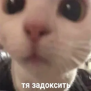 Telegram sticker 😀 Больше стиков тут: @stikery4