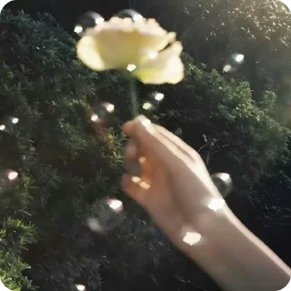 Video sticker 🌟 Melishhhhh :: @fStikBot