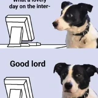 Video sticker 😶 Stunning Sexist idk