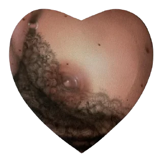 Telegram sticker 🎁 🍑 канал: @truecatharsis