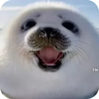 Video sticker 🪚 Мысли лобомитизированого