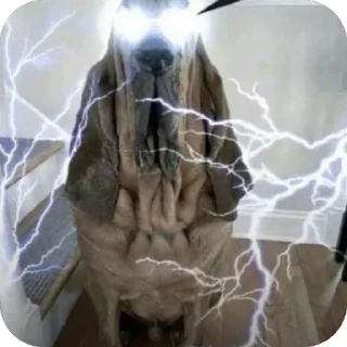 Telegram sticker 🫥 пипидастр