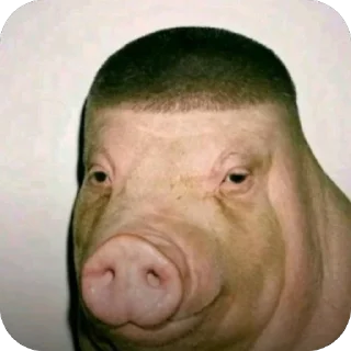 Telegram sticker 🫥 пипидастр