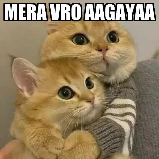 Telegram stiker 😗 Abhinava 😁 @shalinipaglu