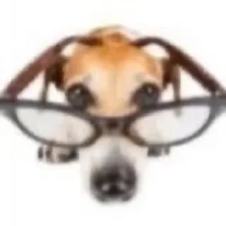 Telegram sticker ‼️ ghost pepper