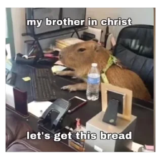 Телеграм стикер 💰 gempack