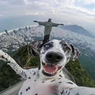 Sticker 😎 t.me/ali888889999