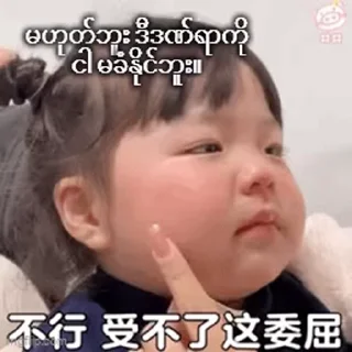 Video sticker 😭 Your stickers - @my_stckers_bot