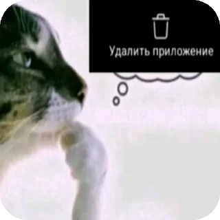 Video sticker 👍 Тралалератралала :: @fStikBot