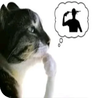Video sticker 🐱 Тралалератралала :: @fStikBot