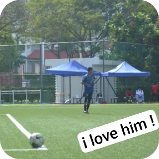 Video sticker 🎠 ; 𝓢𝓱𝓪’𝓼 𝓼𝓽𝓲𝓬𝓴𝓮𝓻𝓼🌀