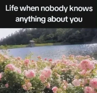 Video sticker 🌟 - YONA - @DZzD5 .