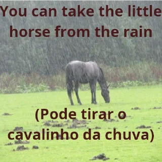 Telegram sticker 🐴 Brasilinglish