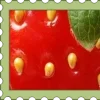 Video sticker 🍓 ꒰ 🅂𝒕𝒂�...
