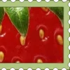 Video sticker 🍓 ꒰ 🅂𝒕𝒂�...