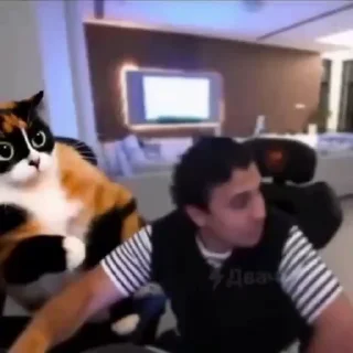 Video sticker 😊 Куки2|@V_Rzhnsk