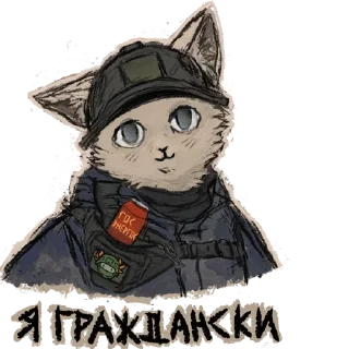 Video sticker 🥺 ваня ваени etc @desastresguerra