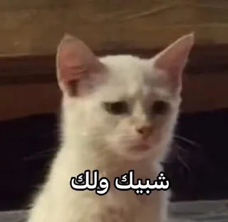 Telegram stiker 🍌 @qeioer بثاثينات زيونه 😼