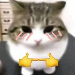 Telegram stiker 😡 @qeioer بثاثينات زيونه 😼