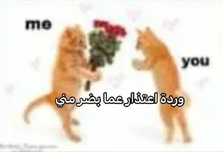 Telegram stiker 🈂 @qeioer بثاثينات زيونه 😼