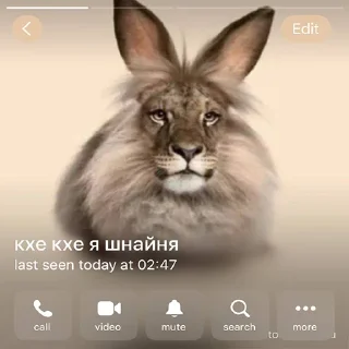 Telegram sticker 😇 @cartelgunwest